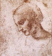 LEONARDO da Vinci Study fur a women head oil on canvas